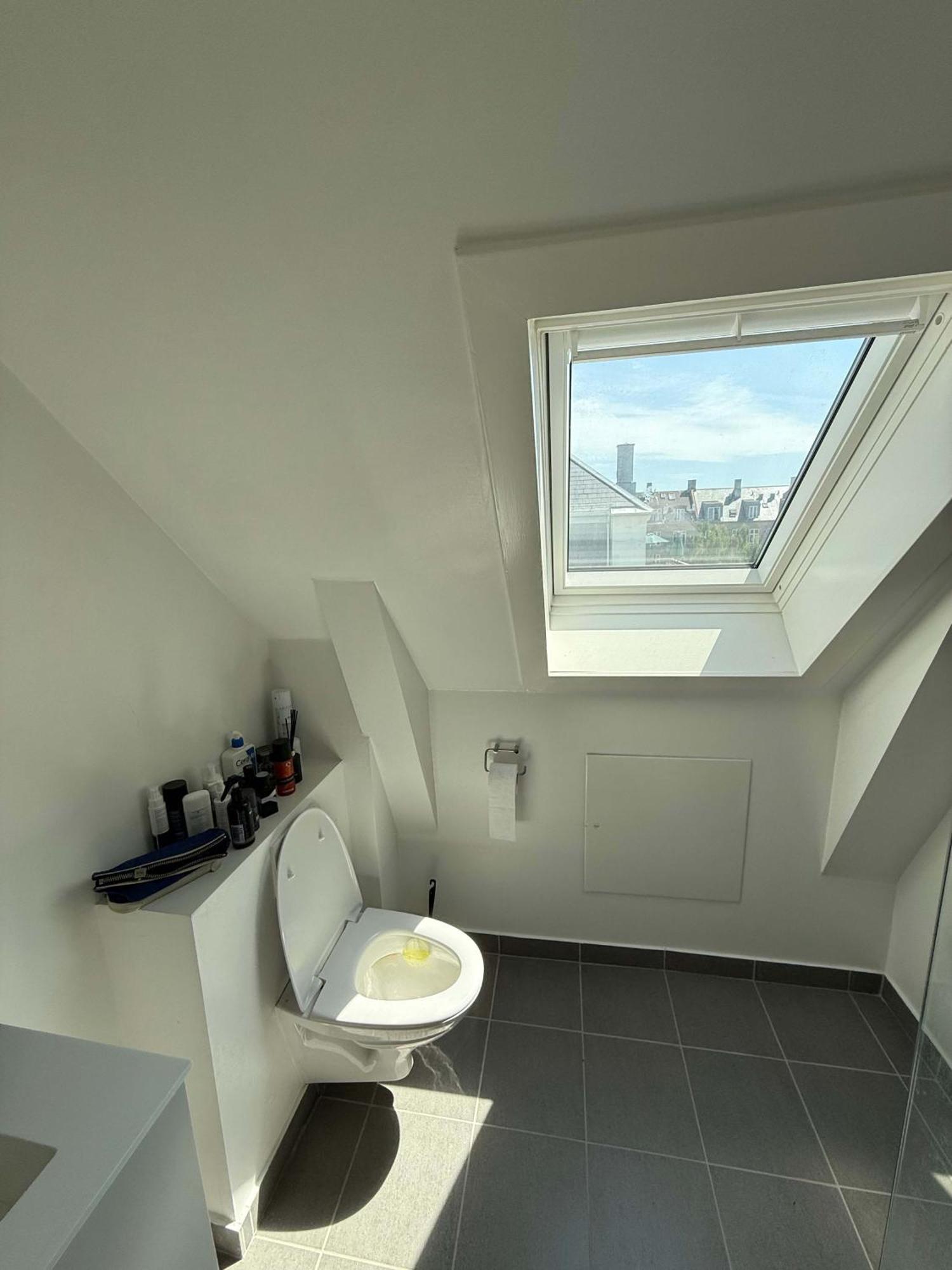 Big Frederiksberg Apartment
