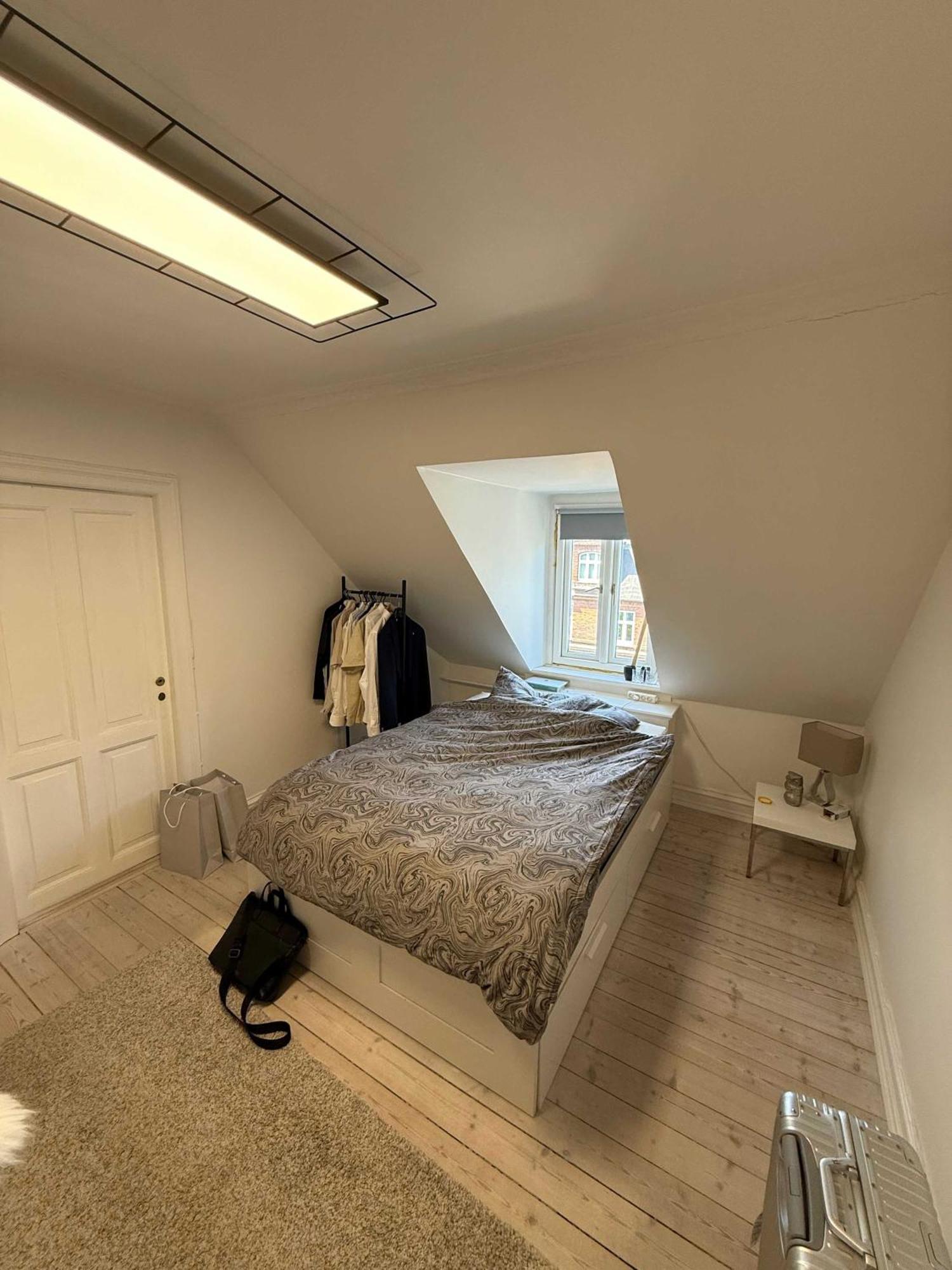 Big Frederiksberg Leilighet København